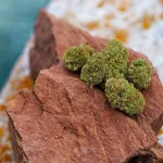 Marijuana Moon Rocks: Potent Cannabis Nuggets