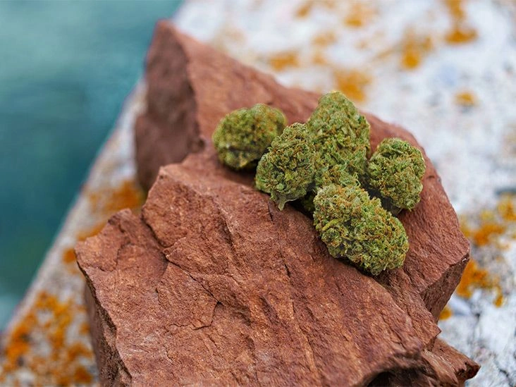 What Are Marijuana Moon Rocks?