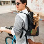 What to Know About Bloating and Menopause What to Know About Bloating and Menopause