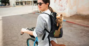 What to Know About Bloating and Menopause