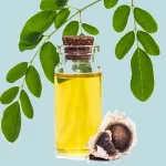 Moringa Oil Benefits and Uses