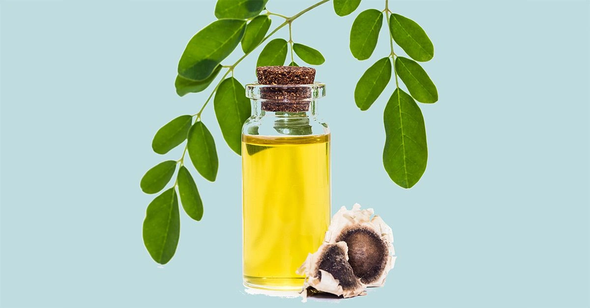 Moringa Oil Benefits and Uses