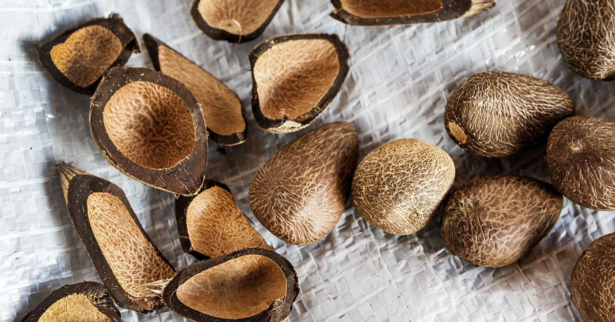 6 Skin and Hair Benefits of Murumuru Butter