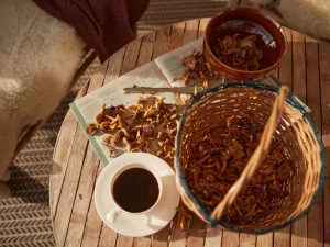 Is Mushroom Coffee Worth the Hype? An Expert’s Take Is Mushroom Coffee Worth the Hype? An Expert’s Take