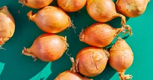 Onions 101: Nutrition Facts and Health Effects
