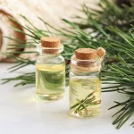 What You Need to Know About Pine Essential Oil