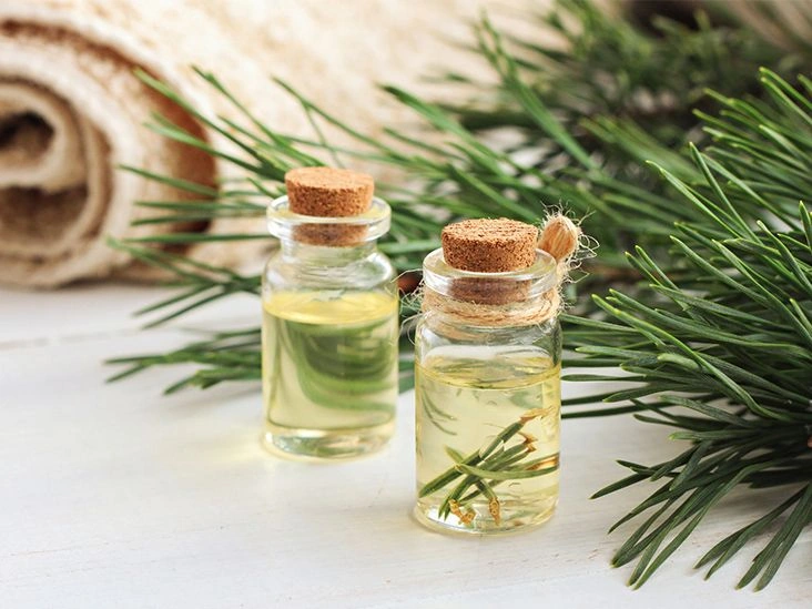 What You Need to Know About Pine Essential Oil