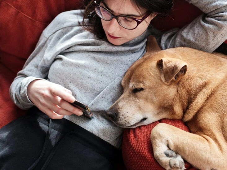 Why You May Have Pregnancy Symptoms When the Test Is Negative