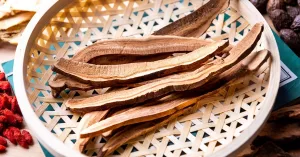 Reishi Mushroom Benefits: Top Health Perks