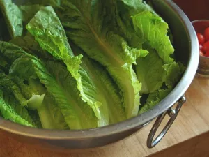 Does Romaine Lettuce Have Any Nutritional Benefits?