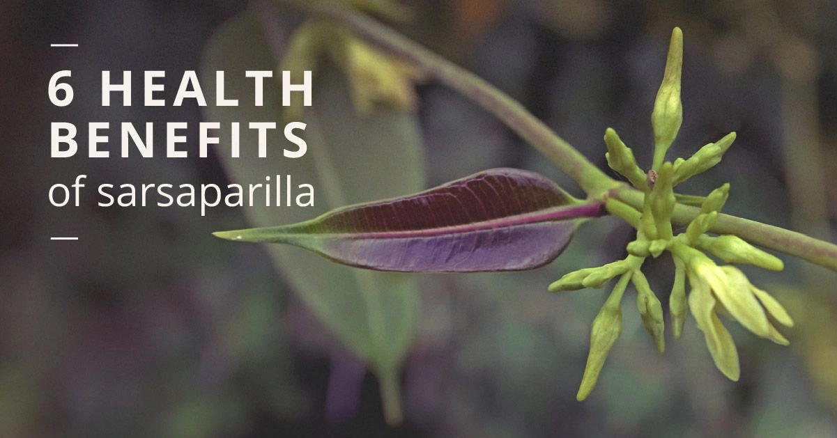 Sarsaparilla: Benefits, Risks, and Side Effects