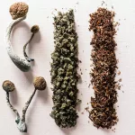 Shrooms And Weed: Effects, Risks, Interactions