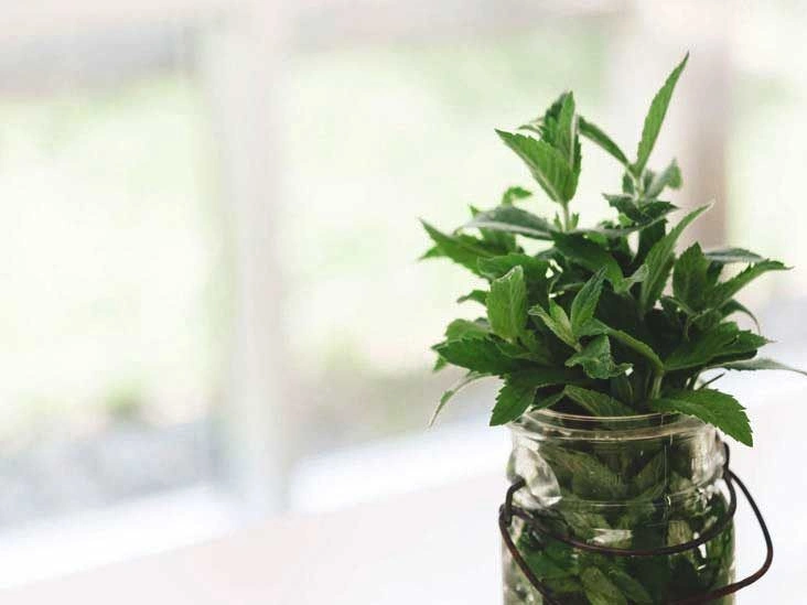 11 Surprising Benefits of Spearmint Tea and Essential Oil
