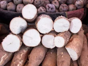 What Is Tapioca and What Is It Good For? What Is Tapioca and What Is It Good For?