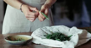 Tarragon Benefits Uses: Health and Culinary Tips
