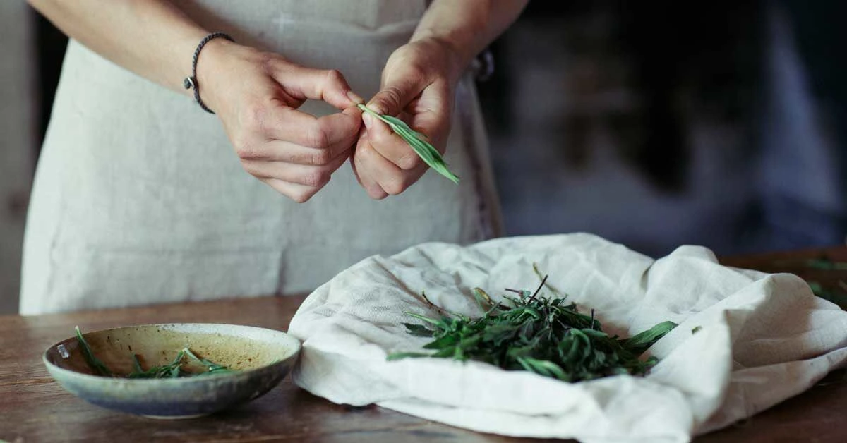 8 Surprising Benefits and Uses of Tarragon
