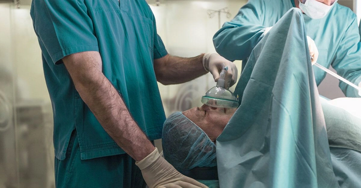 Is Testicle Donation and Transplantation Possible?