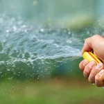 Everything You Need to Know About the U-Spot