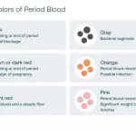 Watery Period Blood Sign of Pregnancy Guide