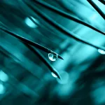 Why Is My Semen Watery? 4 Possible Causes