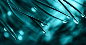 Watery Semen: Causes and When to Seek Help