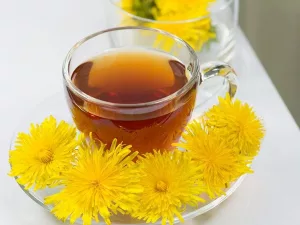 Benefits of Dandelion Tea