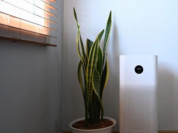 How Does an Air Ionizer Work?