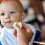 Is It Safe for Babies to Eat Eggs?