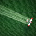 Are Pesticides in Foods Harming Your Health? Are Pesticides in Foods Harming Your Health?