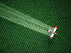 Are Pesticides in Foods Harming Your Health?
