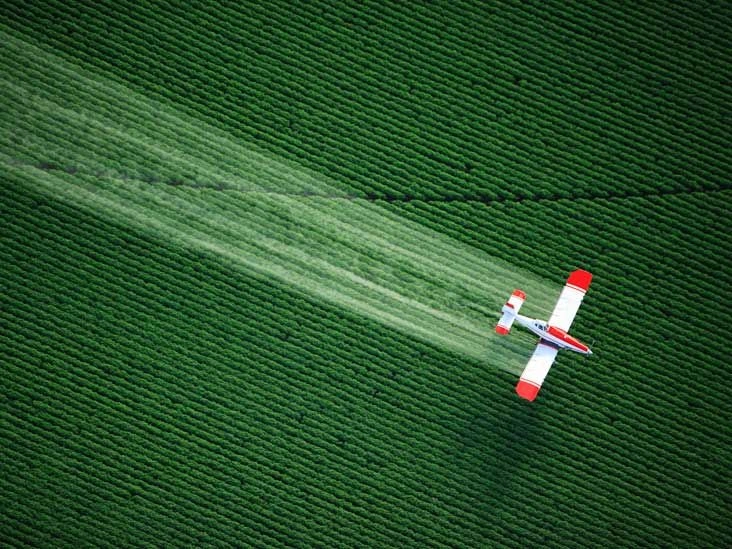 Are Pesticides in Foods Harming Your Health?