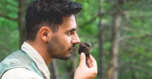 Cacosmia: Causes, Symptoms, and Treatment for Foul Smell in the Nose