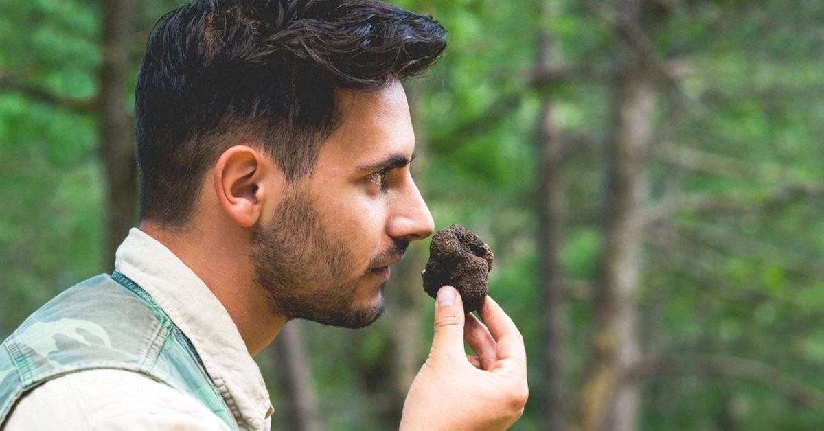 Cacosmia: Causes, Symptoms, and Treatment for Foul Smell in the Nose