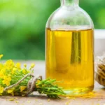 Is Canola Oil Healthy? All You Need to Know