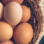 9 Benefits of Eggs