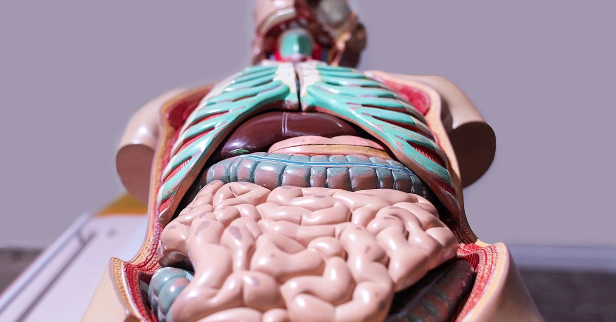 Everything You Need to Know About Diverticulitis