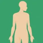 The Bottom of the Foot: Anatomy and Functional Guide