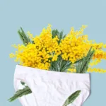 How to Trim Your Pubic Hair: 10 Techniques to Try