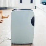 Do Air Purifiers Actually Work?