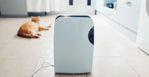 Do Air Purifiers Actually Work?