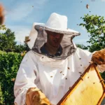 Bee Sting Allergy: Symptoms of Anaphylaxis