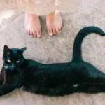 Superstitions: What’s the Harm?