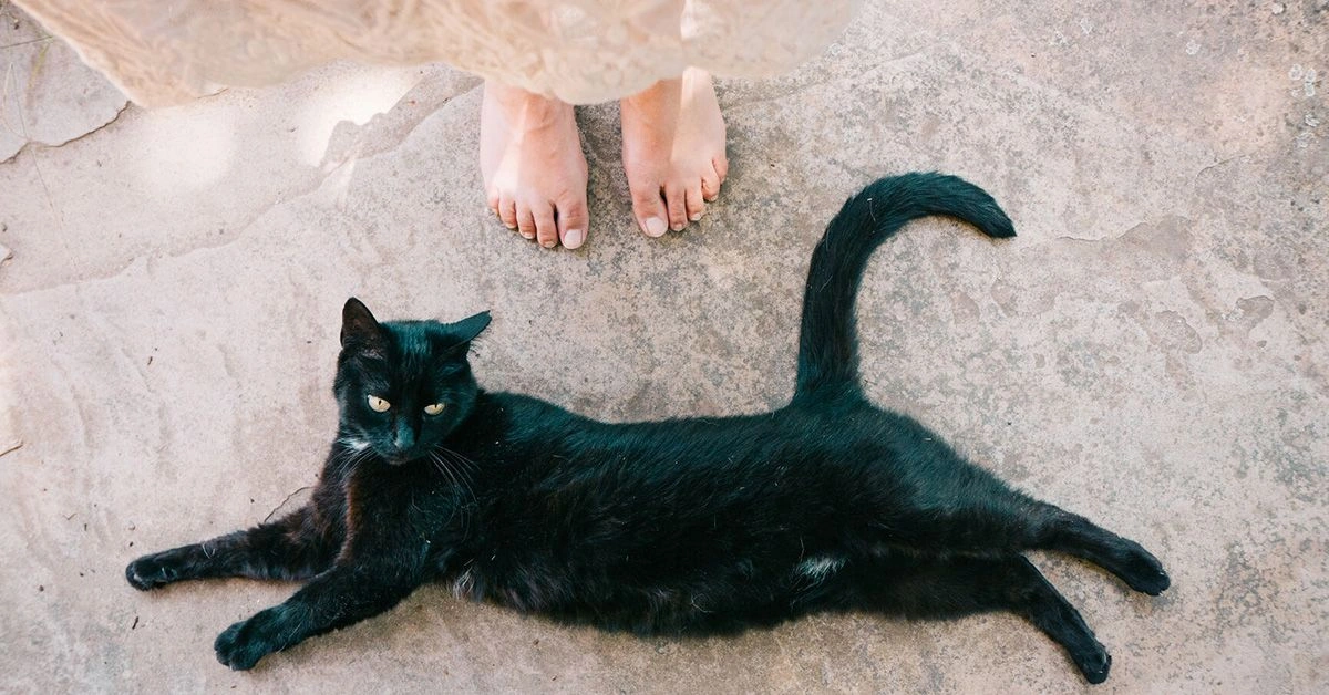 Superstitions: What’s the Harm?