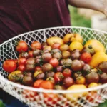 Can You Use Tomatoes for Skin Care?