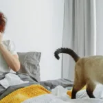 What Can Cause a Constant, Clear-Fluid Runny Nose?