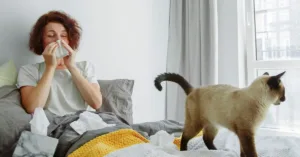 What Can Cause a Constant, Clear-Fluid Runny Nose? What Can Cause a Constant, Clear-Fluid Runny Nose?