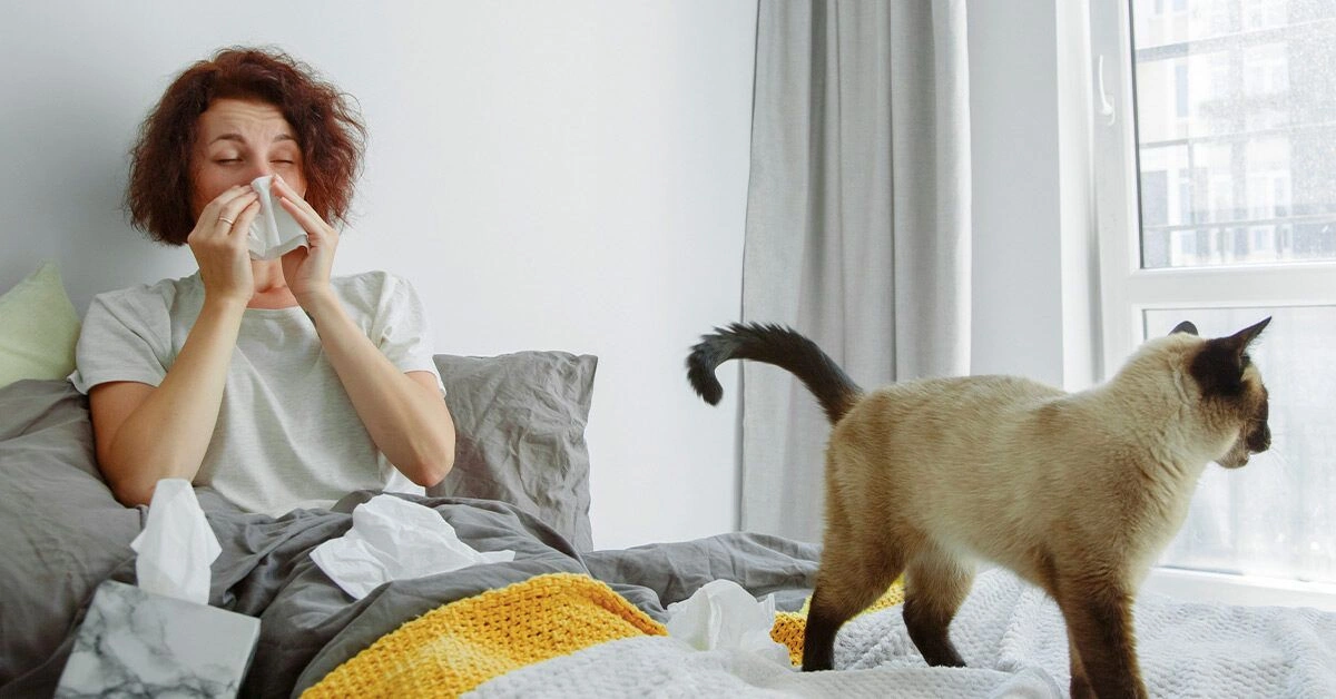 What Can Cause a Constant, Clear-Fluid Runny Nose?