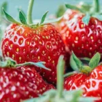 List of the Best Low Carb Fruits and Vegetables List of the Best Low Carb Fruits and Vegetables